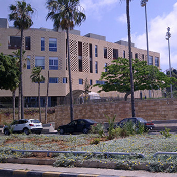 American University of Beirut