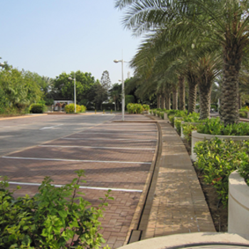 Jumeirah Beach Hotel, Dubai