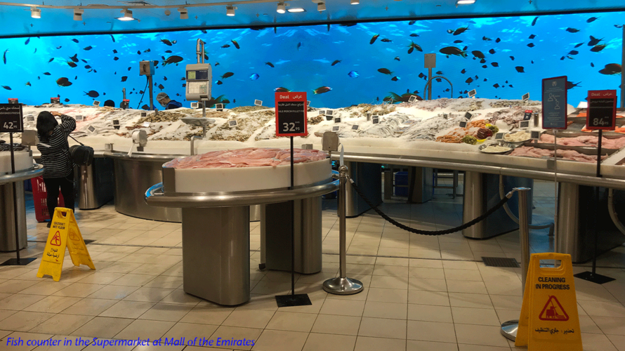 Fresh Fish Counter in the Supermarket in Mall of the Emirates