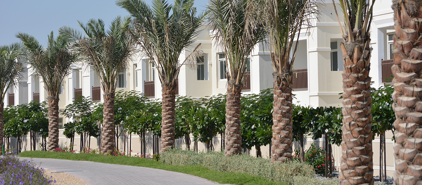 Al Ghadeer Village - Residential Community at the border Abu Dhabi-Dubai