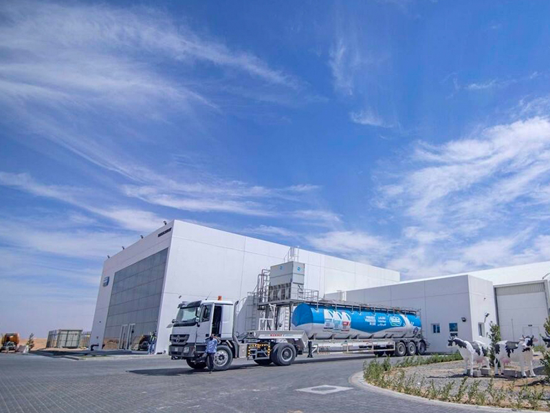 Marmum Dairy in Al Ain/Abu Dhabi Marmum-1-Tease-Image-800x600px